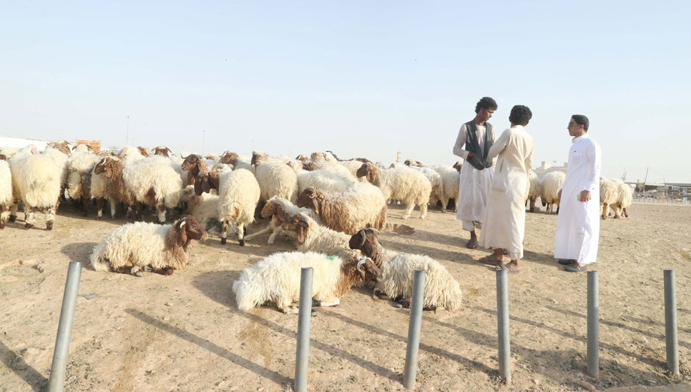 سوق الغنم غرب الرياض