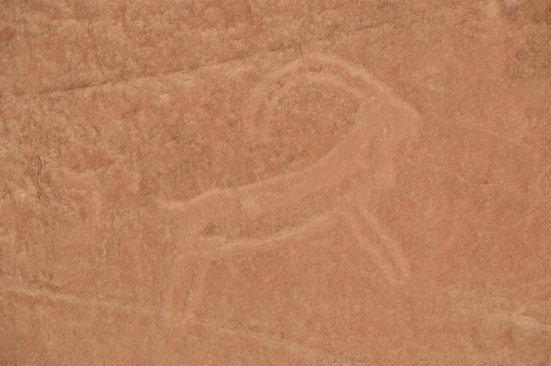 العلا في 50 صورة.. من زمن الأنباط إلى عصر الرؤية