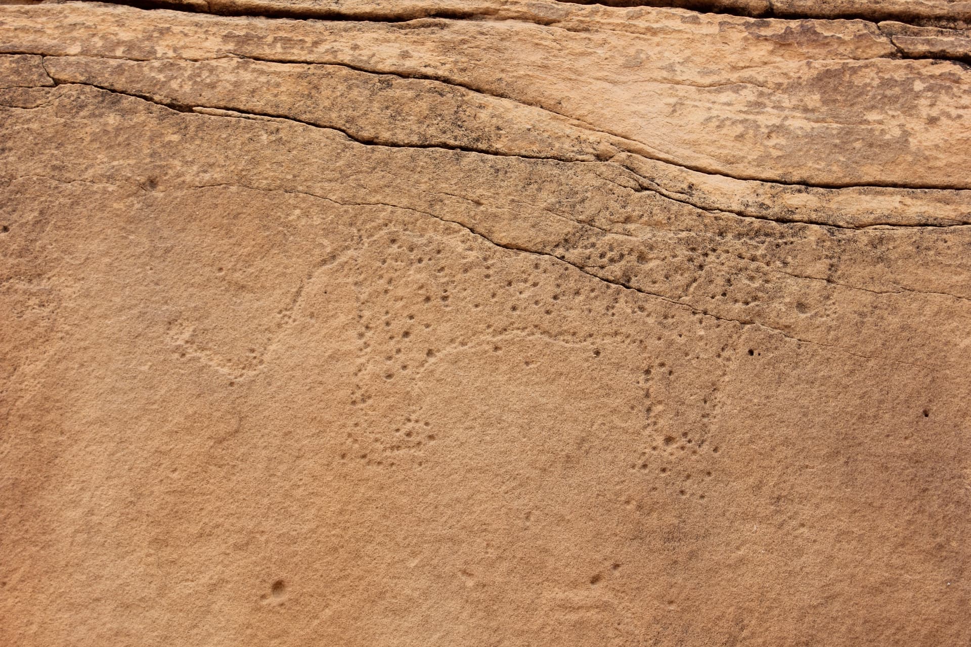 العلا في 50 صورة.. من زمن الأنباط إلى عصر الرؤية