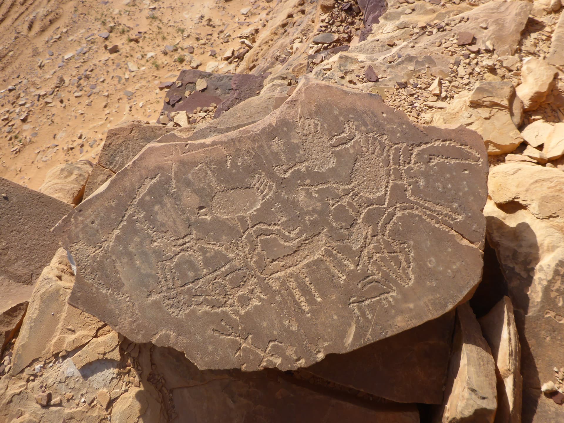 العلا في 50 صورة.. من زمن الأنباط إلى عصر الرؤية