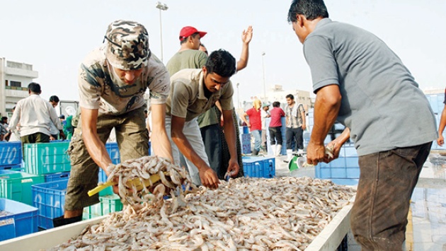 تقلص في محال وباعة أسواق السمك .. 60 % أجانب