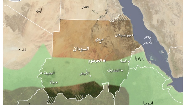السودان يحتل صدارة منتجي الصمغ العربي في العالم .. تجارة بملايين الدولارات