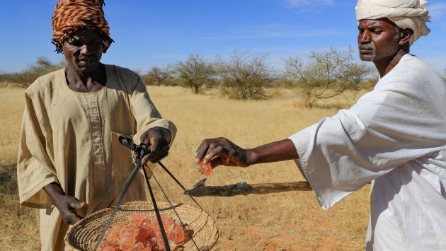الصمغ العربي المنتج السوداني المستخدم في العالم مهدد بالحرب 
