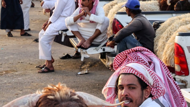 سوق الأغنام بالعزيزية .. بائعون ينتظرون الزبائن 