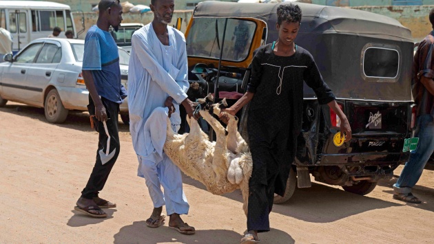 الحرب تحرم السودانيين من خروف العيد 