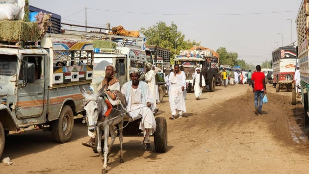 بعد تفكيك الصناعة وتأثر القطاع الزراعي .. الحرب في السودان تهدد موسم حصاد البلح