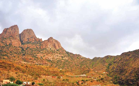 جبل شدا.. موطن أشجار العرعر والعتم.. ومرتع الطيور المهاجرة