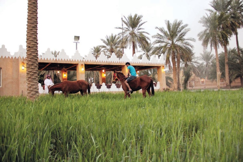 التجارب الناجحة .. شواهد واقعية على النقلة
النوعية في السياحة السعودية