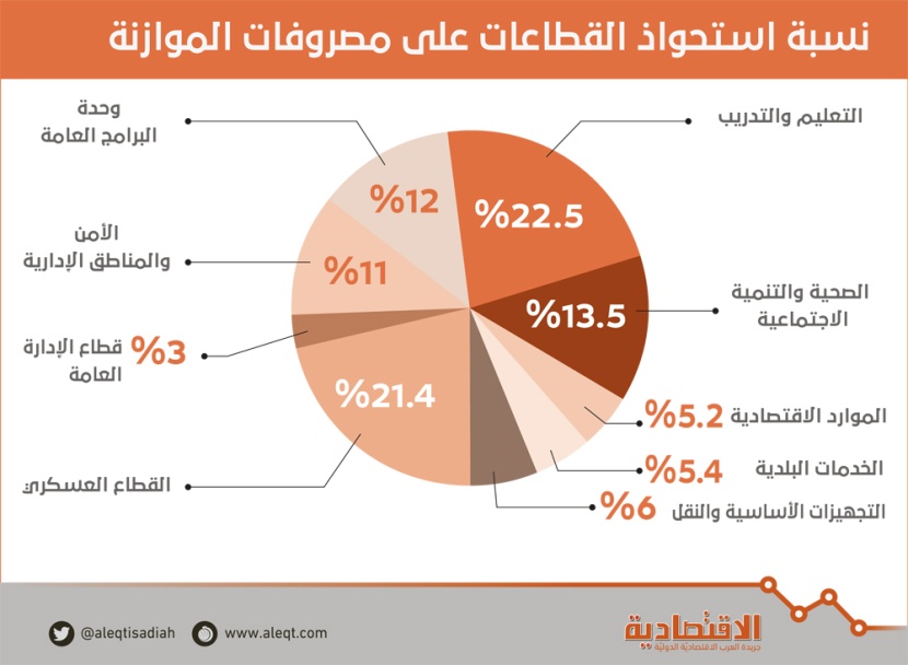 36 % من الميزانية لقطاعي «التعليم» و«الرعاية الصحية»