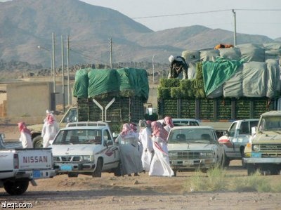 الأسواق الشعبية .. الاقتصاد بعيدا عن "الهوامير"