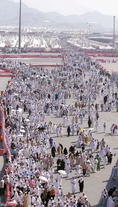 بدء دراسة مشروع متكامل لإعادة النظر في أجور مؤسسات حجاج الداخل