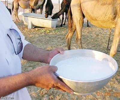 ألبان أغنام وخلفات "مجهولة المصدر" تغزو السوق المحلية!