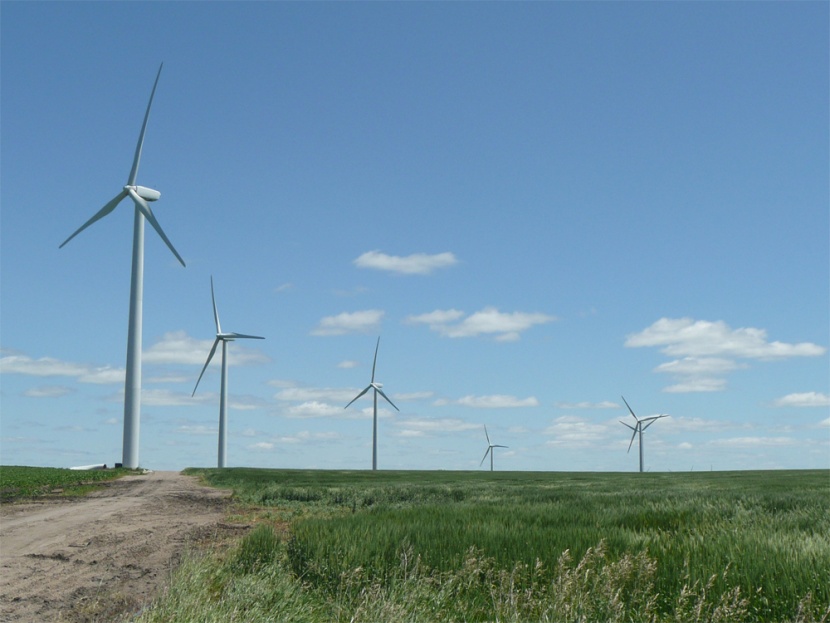 محطة كهربائية تعمل بطاقة الرياح تحتوي على 33 مولد لديه القدرة على إنتاج 50 ميجاواط من الكهرباء في مدينة ويلتون الأمريكية.