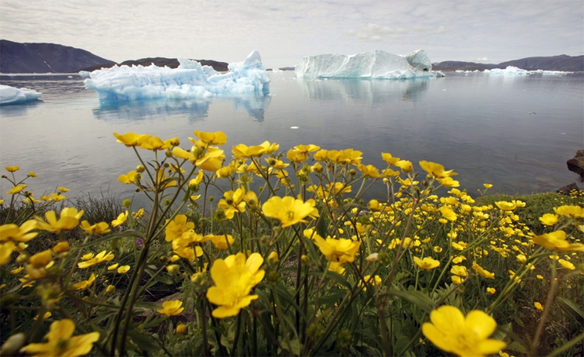 فريق من العلماء يحذر من سرعة معدل ذوبان الجليد في القطب الشمالي.