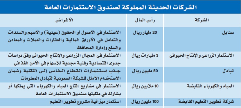 الحكومة تعاضد القطاع الخاص بتأسيس 5 شركات في 12 شهرا بـ 23 مليار ريال