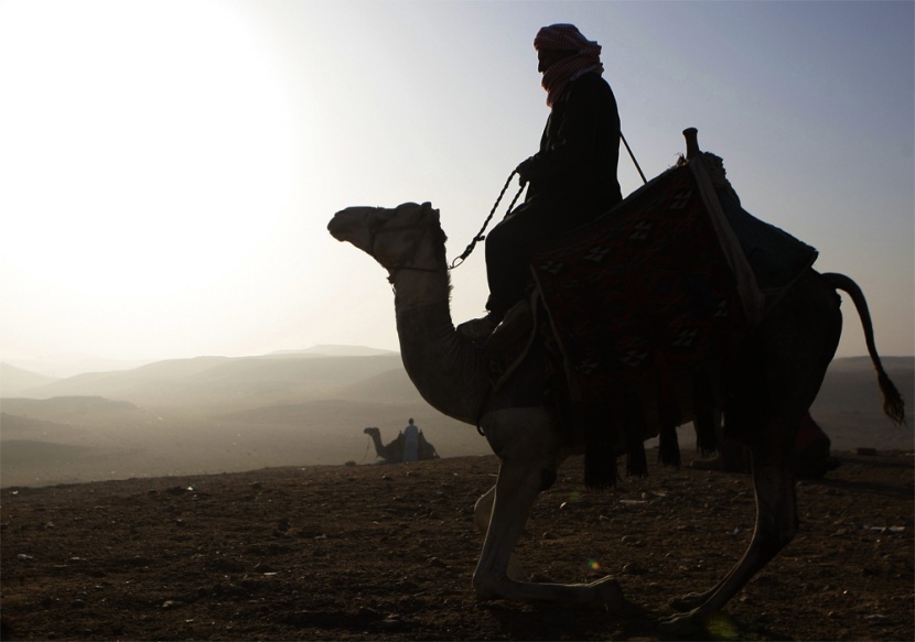 ركوب الجمال بجانب اهرامات الجيزه يعد أهم عوامل السياحة المصرية.