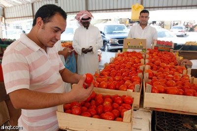 للنقاش .. هل يمكن الاستغناء عن الطماطم ؟