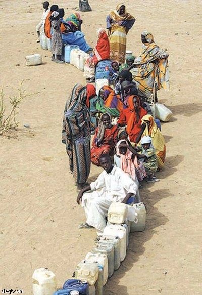 بنك دارفور للتنمية .. هل تنجح المشاريع الصغيرة في إخراج الإقليم من مشكلاته؟