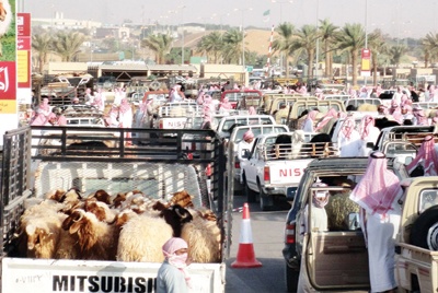 بريدة: تجار الماشية يعرضون الذبح المجاني.. وصحة البيئة تحذر