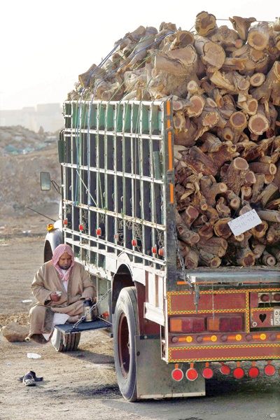 الحطب .. نكهة الشتاء المشبعة بالخطر والكربون