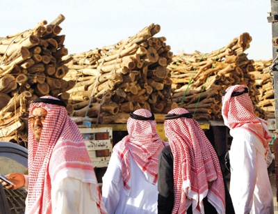 الحطب .. نكهة الشتاء المشبعة بالخطر والكربون