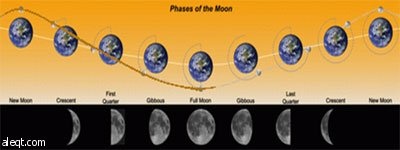 كيف يتكون الشهر القمري ؟