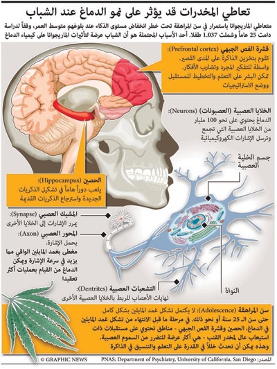 دراسة تربط بين تدخين المارجوانا وسرطان الخصية