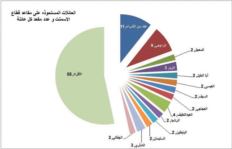 14 عائلة سعودية تسيطر على 30 % من مجالس إدارات «البتروكيماويات»