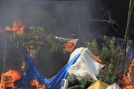 قصة مصورة: ماذا يحدث في مصر ؟