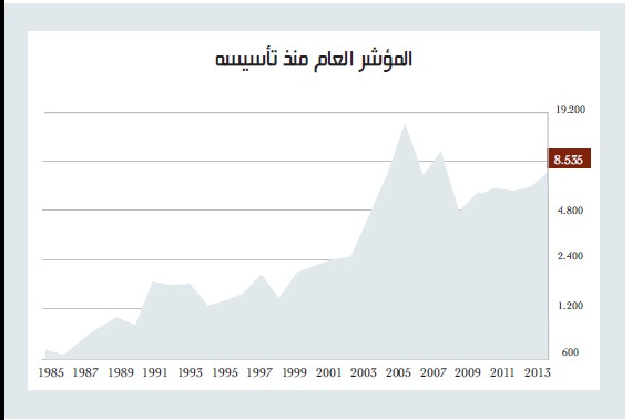 مكاسب الأسهم السعودية تتجاوز 25 % في 2013