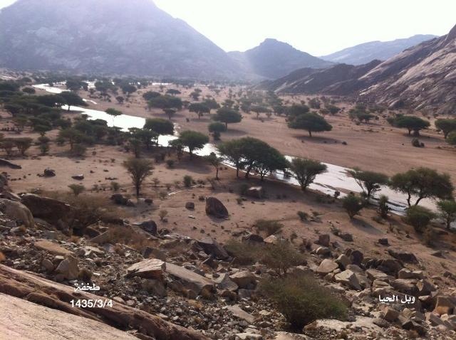 قصة مصورة : صور الأمطار على تويتر