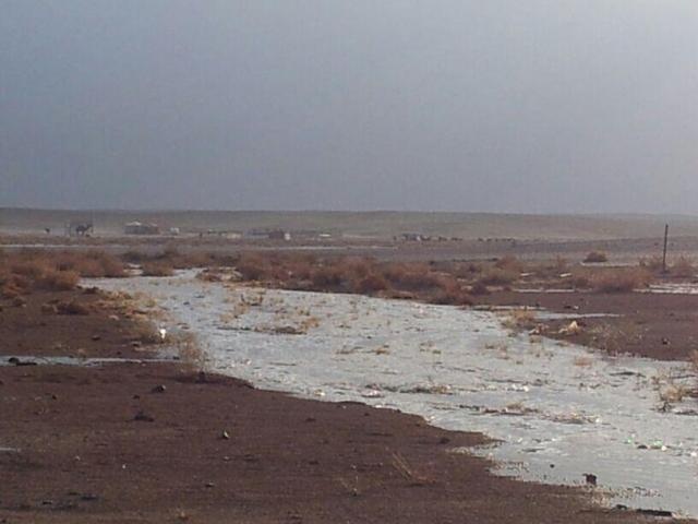 قصة مصورة : صور الأمطار على تويتر