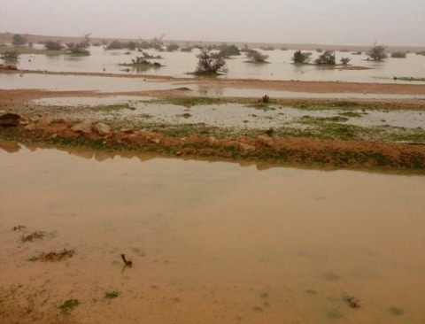 أمطار غزيرة على محافظة رفحاء والدفاع المدني يحذر