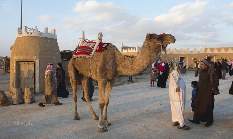 قصة مصورة : مهرجان الغضا في عنيزة يضيف عددأ من الفعاليات التراثية