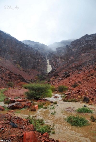 قصة مصورة : جريان وادي العقيق في المدينة المنورة