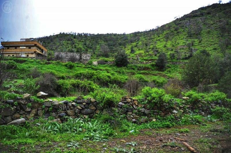 قصة مصورة: مناظر طبيعية لما خلفته الأمطار في الباحة