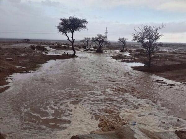 قصة مصورة: أمطار غزيرة على حائل