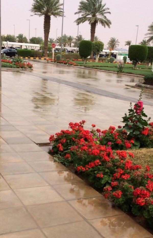 أمطار على مدينة الرياض