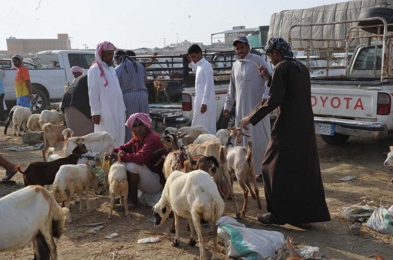 قصة مصورة: سوق الخميس 150 عامًا من التاريخ الاقتصادي والاجتماعي لأهالي الدرب