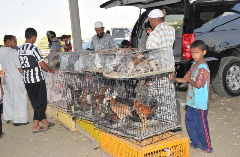 قصة مصورة: سوق الخميس 150 عامًا من التاريخ الاقتصادي والاجتماعي لأهالي الدرب