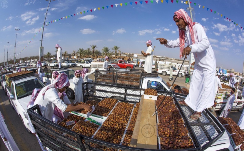 قصة مصورة: القصيم سلة التمور الفاخرة في المملكة