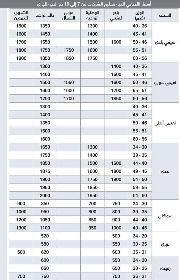 1326 ريالا متوسط سعر الأضحية في الرياض هذا العام