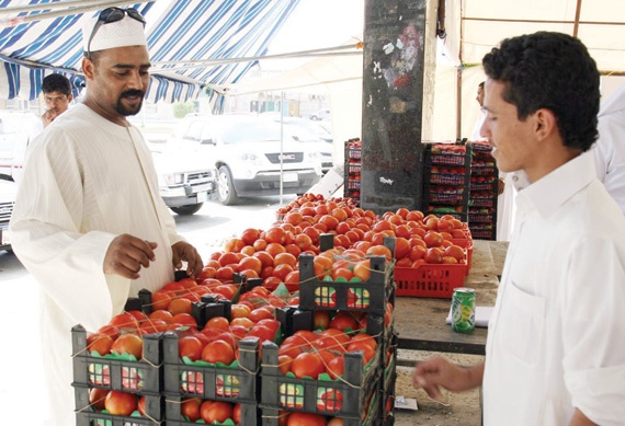 «اللجنة الغذائية»: جدة بحاجة إلى سوق مركزية جديدة للخضار والفواكه