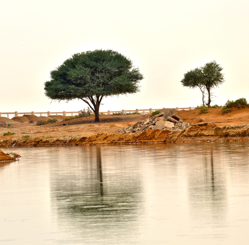 أمطار على مدينة الرياض