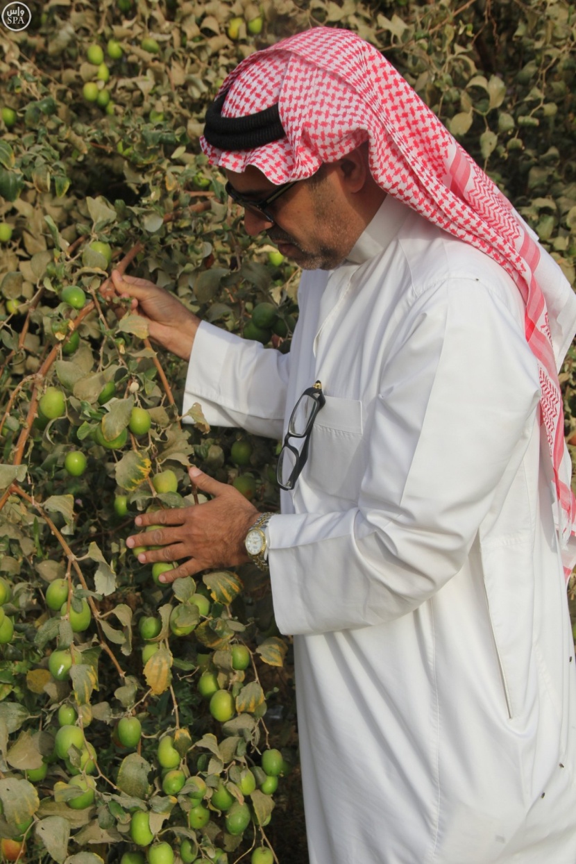 قصة مصورة: "عبري الدواسر" يحقق مبيعات قدرها 40 مليون ريال