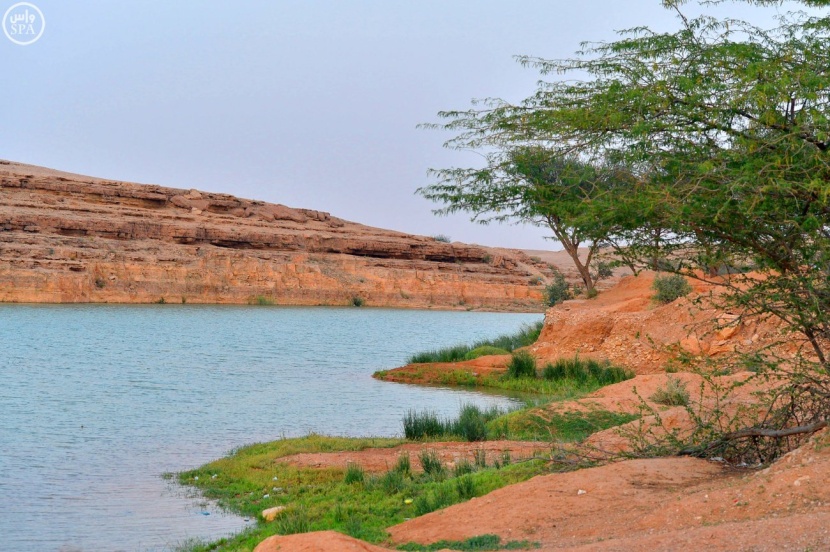 "شعيب دقلة" النهر الجاري في شمال الرياض