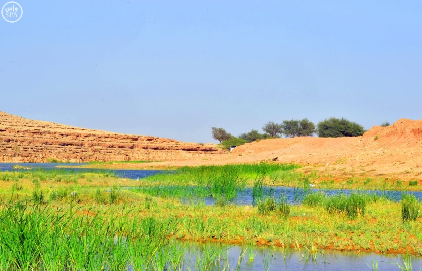 "شعيب دقلة" النهر الجاري في شمال الرياض