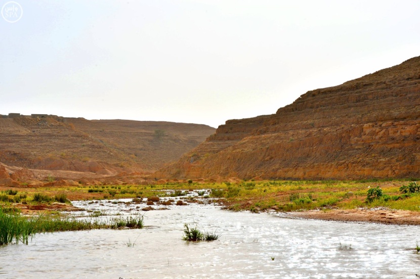 "شعيب دقلة" النهر الجاري في شمال الرياض