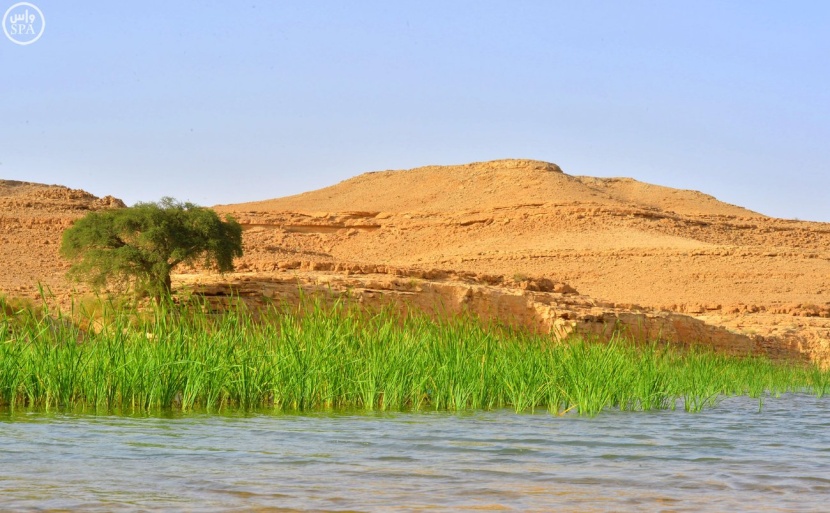 "شعيب دقلة" النهر الجاري في شمال الرياض