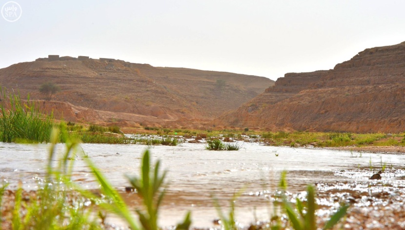 "شعيب دقلة" النهر الجاري في شمال الرياض